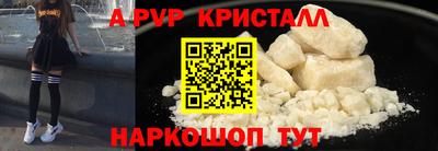 прущие крисы Кингисепп