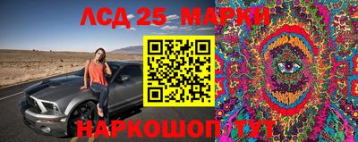 прущие крисы Кингисепп