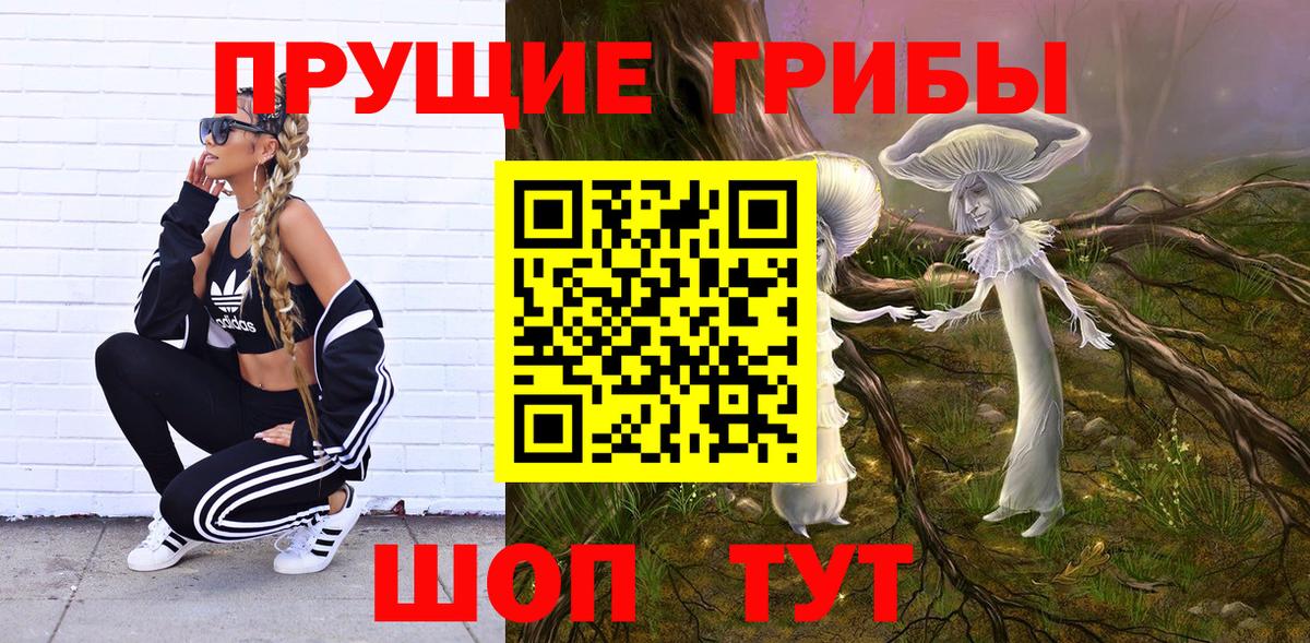 Галлюциногенные грибы Psilocybine cubensis Волоколамск